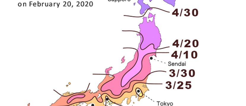 2020 JAPAN SAKURA FORECAST